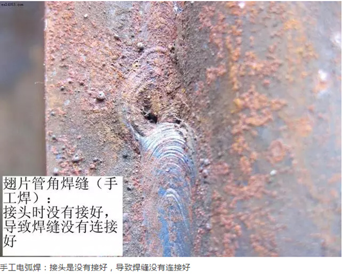 成品人视频免费看100部