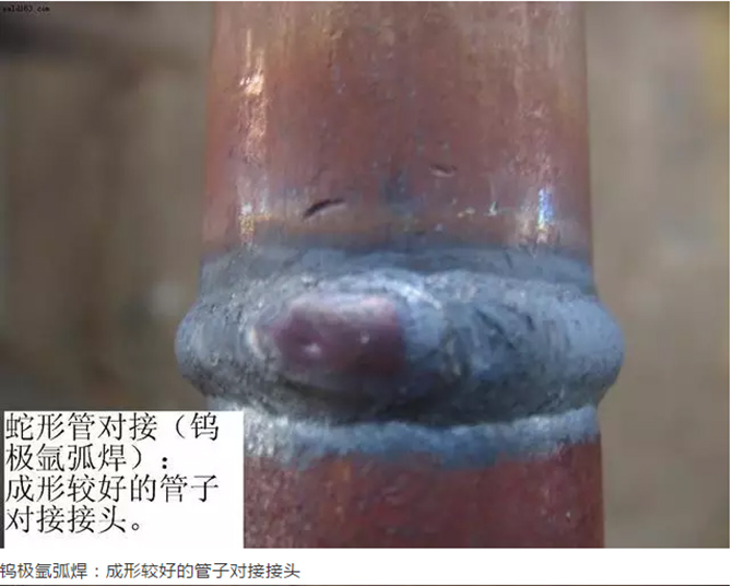 成品人视频免费看100部